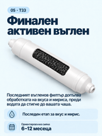 Финален въгленов филтър T33 — ориентировъчна смяна на 6–12 месеца